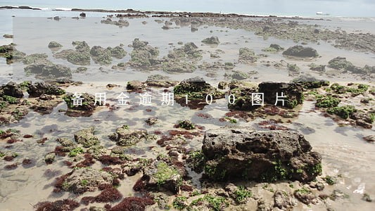 备用金逾期100图片 备用金逾期100图片