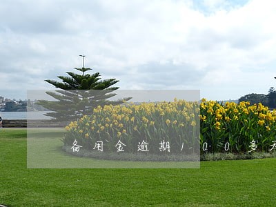 备用金逾期100多天 备用金逾期100多天