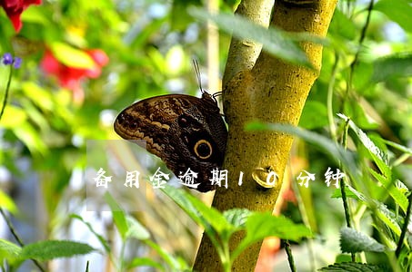 备用金逾期10分钟 备用金逾期10分钟