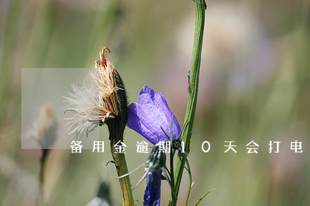 备用金逾期10天会打电话吗 备用金逾期10天会打电话吗