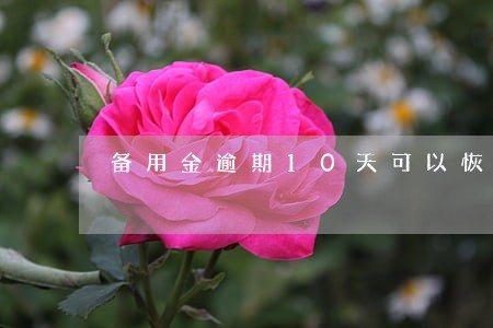 备用金逾期10天可以恢复吗 备用金逾期10天可以恢复吗