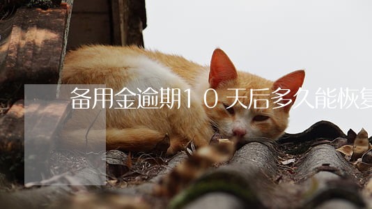 备用金逾期10天后多久能恢复 备用金逾期10天后多久能恢复