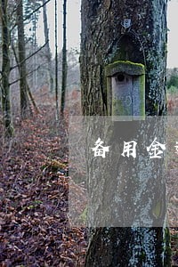 备用金逾期10天后果会上征信吗 备用金逾期10天后果会上征信吗