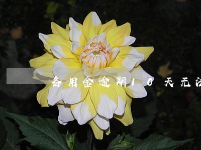 备用金逾期10天无法使用 备用金逾期10天无法使用