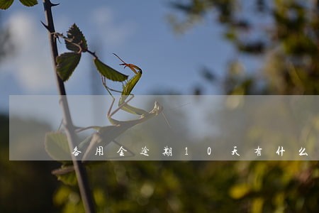 备用金逾期10天有什么影响 备用金逾期10天有什么影响