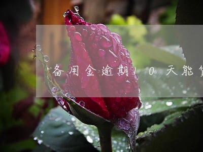 备用金逾期10天能贷款买房吗 备用金逾期10天能贷款买房吗