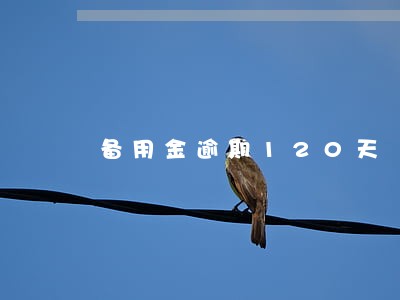 备用金逾期120天 备用金逾期120天