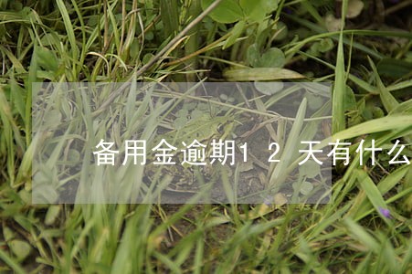 备用金逾期12天有什么后果 备用金逾期12天有什么后果