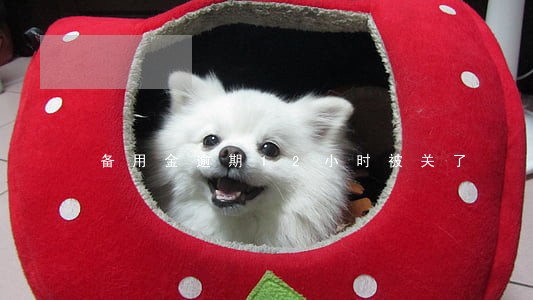 备用金逾期12小时被关了 备用金逾期12小时被关了
