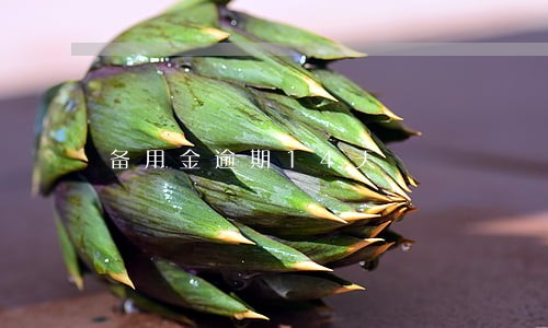 备用金逾期14天 备用金逾期14天