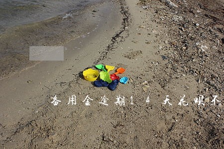 备用金逾期14天花呗不能用了 备用金逾期14天花呗不能用了