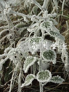 备用金逾期15后还了会怎么样 备用金逾期15后还了会怎么样