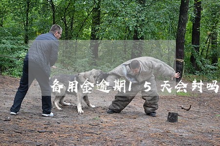 备用金逾期15天会封吗 备用金逾期15天会封吗