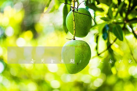 备用金逾期15天会打电话吗 备用金逾期15天会打电话吗