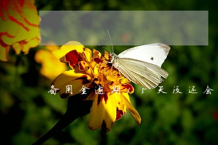 备用金逾期15天没还会怎么样 备用金逾期15天没还会怎么样