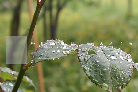 备用金逾期15天还了多久能用
