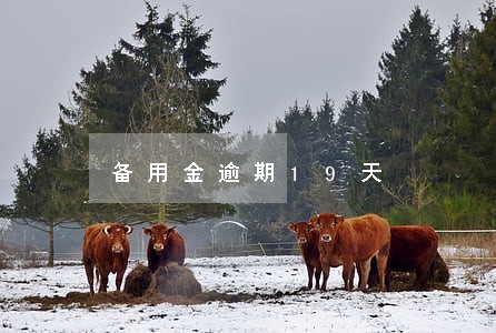 备用金逾期19天 备用金逾期19天