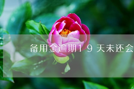 备用金逾期19天未还会怎样