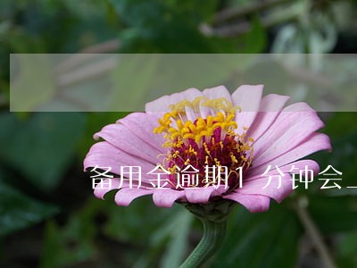 备用金逾期1分钟会上征信吗 备用金逾期1分钟会上征信吗