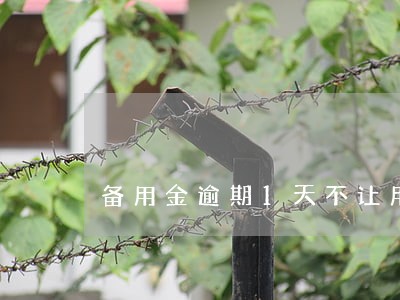 备用金逾期1天不让用了 备用金逾期1天不让用了