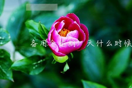 备用金逾期1天什么时候才能借 备用金逾期1天什么时候才能借