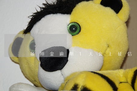 备用金逾期1天会上征信么 备用金逾期1天会上征信么