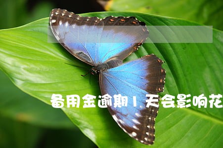 备用金逾期1天会影响花呗吗 备用金逾期1天会影响花呗吗