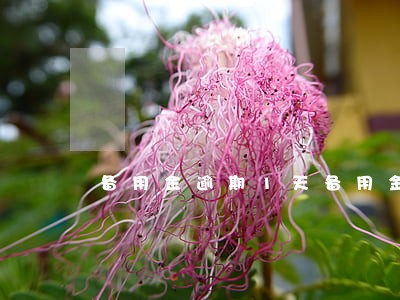 备用金逾期1天备用金被锁 备用金逾期1天备用金被锁