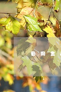 备用金逾期1天多久修复 备用金逾期1天多久修复