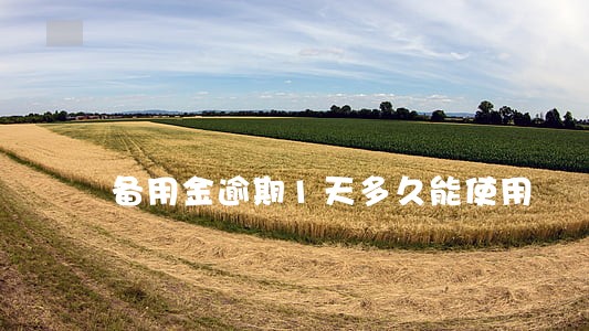 备用金逾期1天多久能使用 备用金逾期1天多久能使用