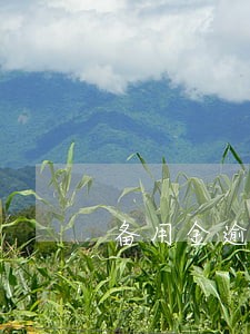 备用金逾期1天提示结清再试 备用金逾期1天提示结清再试