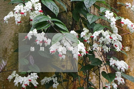 备用金逾期1天有什么影响