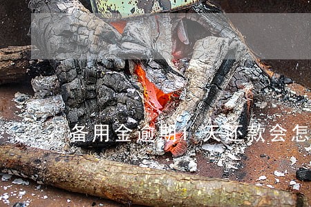 备用金逾期1天还款会怎么样 备用金逾期1天还款会怎么样