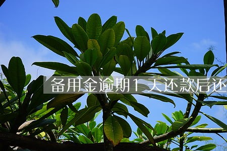 备用金逾期1天还款后还能再用吗 备用金逾期1天还款后还能再用吗