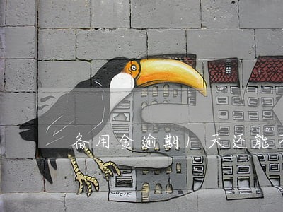 备用金逾期1天还能不能用 备用金逾期1天还能不能用