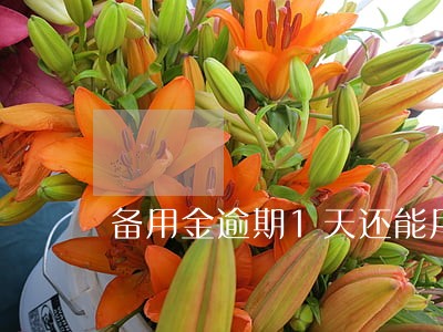 备用金逾期1天还能用吗