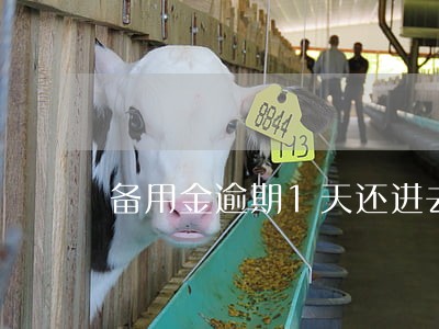 备用金逾期1天还进去后还能用吗