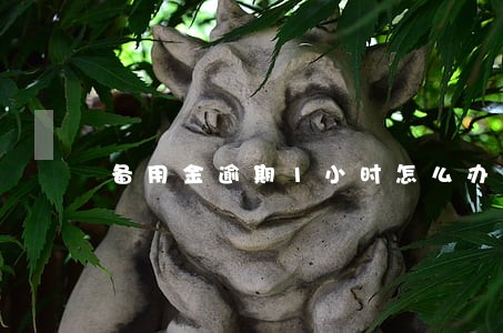 备用金逾期1小时怎么办