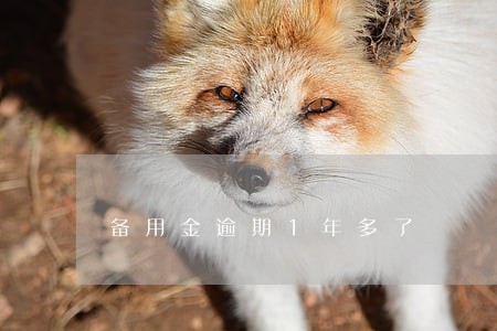 备用金逾期1年多了