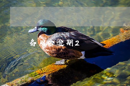 备用金逾期2 备用金逾期2