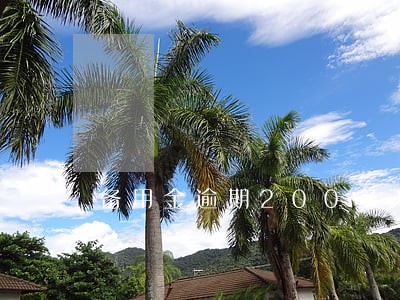 备用金逾期200多天