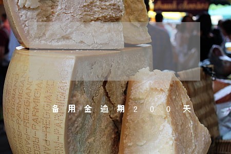 备用金逾期200天 备用金逾期200天
