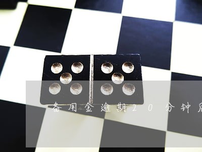 备用金逾期20分钟后果 备用金逾期20分钟后果