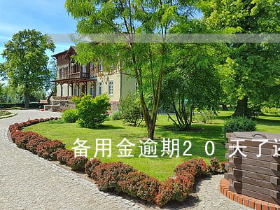 备用金逾期20天了还花呗还不上