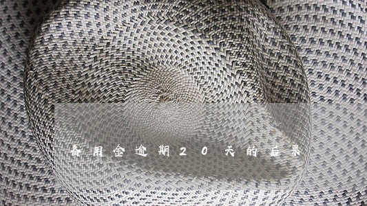备用金逾期20天的后果 备用金逾期20天的后果
