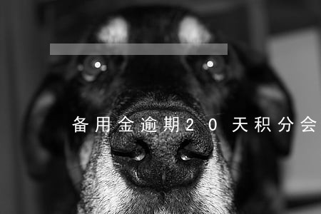 备用金逾期20天积分会负分吗 备用金逾期20天积分会负分吗