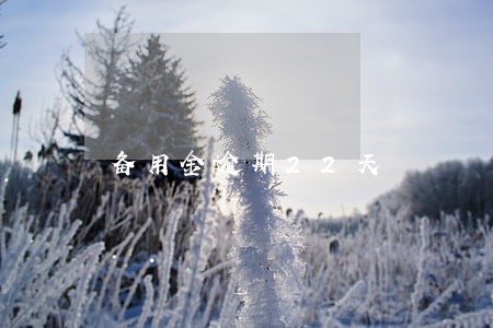 备用金逾期22天
