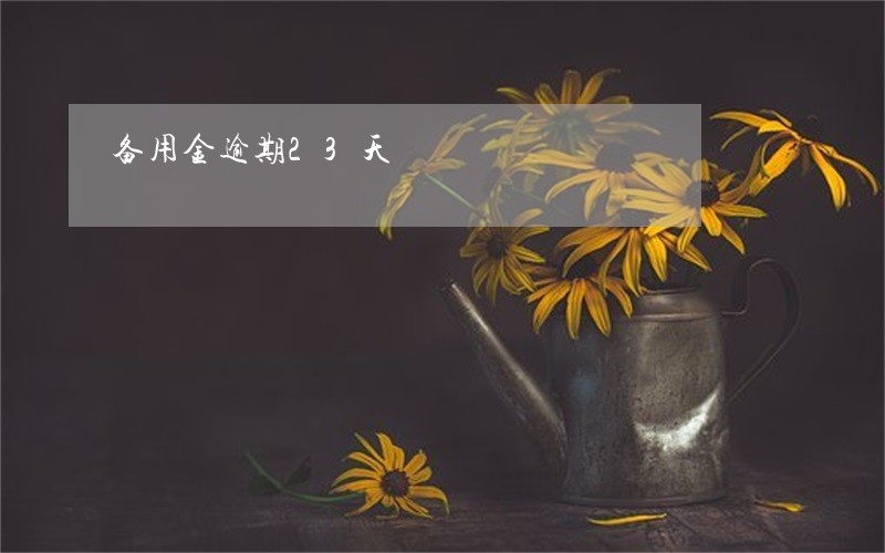 备用金逾期23天 备用金逾期23天