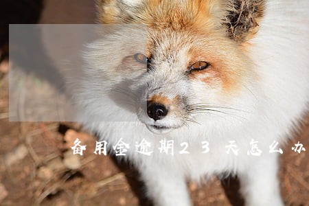 备用金逾期23天怎么办 备用金逾期23天怎么办
