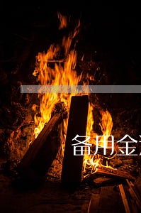 备用金逾期247天 备用金逾期247天